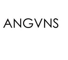 ANGVNS